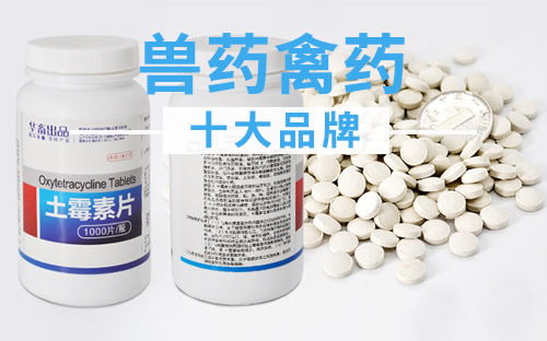 兽药禽药十大品牌深度盘点 2024年值得信赖的行业标杆