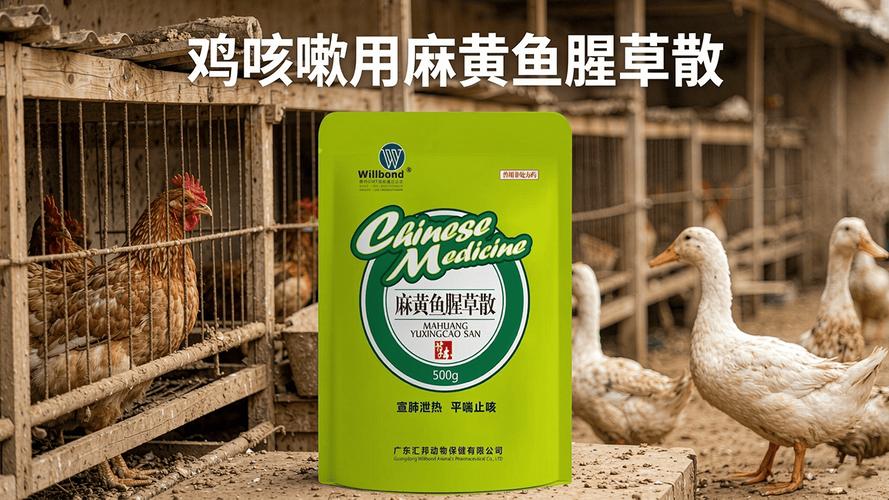 鸡咳嗽用麻黄鱼腥草散 汇邦兽药厂家谈冬季养鸡呼吸道病的防治