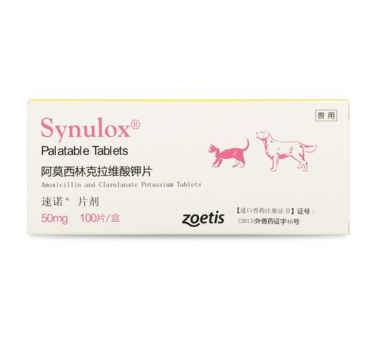 宠物速诺片 犬猫常用抗生素的全面解析与安全使用指南